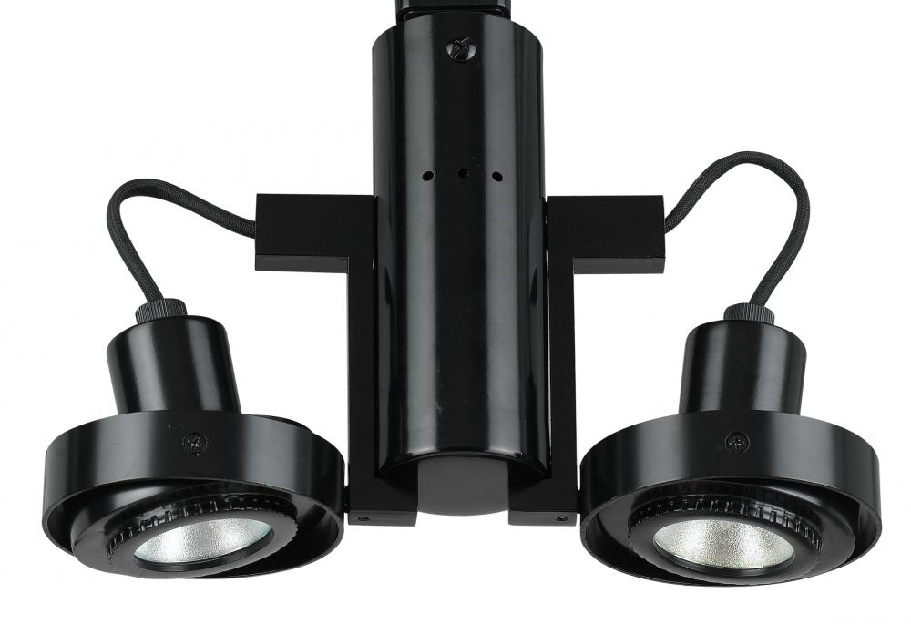 Track mount, 2 lights, MR-16, 50W x 2, 12V