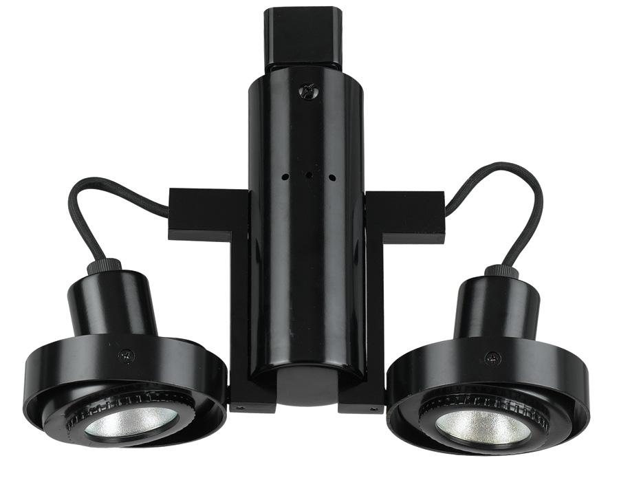 Track mount, 2 lights, MR-16, 50W x 2, 12V