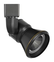 LED TRACK FIXTURE
