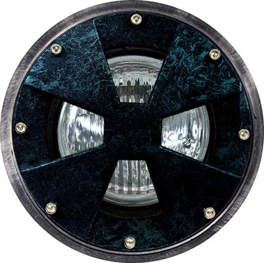 WELL LIGHT W/DRIVEOVER CVR W/ SLV 6W LED PAR36 12V