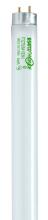 Fluorescent Light Bulbs