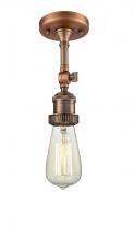 BARE BULB