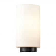 Innovations Lighting G4421 - Paladin Matte White Glass