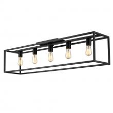 Golden 2072-FM41 BLK - Flush Mount - 41"