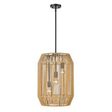 Golden 6076-3P BLK-NR - 3 Light Pendant