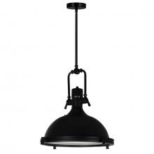 CWI Lighting 9602P16-1-101 - Show 1 Light Down Pendant With Black Finish