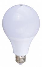 LED BULB