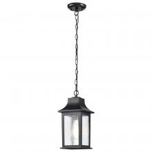 Nuvo 60/5958 - Stillwell Collection Outdoor 14 inch Hanging Light; Matte Black Finish with Clear Water Glass
