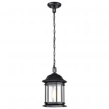 Nuvo 60/6117 - Hopkins Collection Outdoor 12 inch Hanging Lantern; Matte Black Finish with Clear Glass