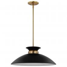 Nuvo 60/7461 - Perkins; 1 Light; Medium Pendant; Matte Black with Burnished Brass