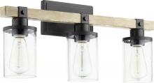 Quorum 5189-3-69 - 23" 3-Light Alpine Vanity - Black & Driftwood