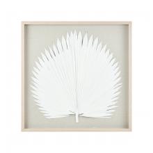 FAN PALM SHADOWBOX