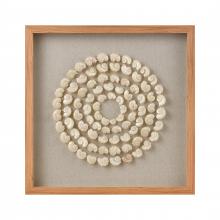 CONCENTRIC SHELL