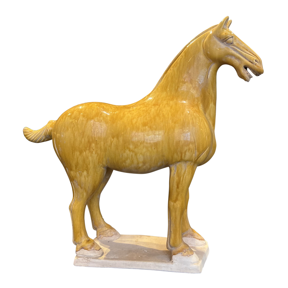Tang Dynasty Medium Persimmon Horse