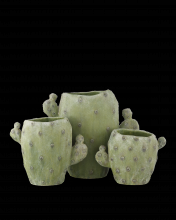 Currey 1200-0885 - Cactus Vase Set of 3